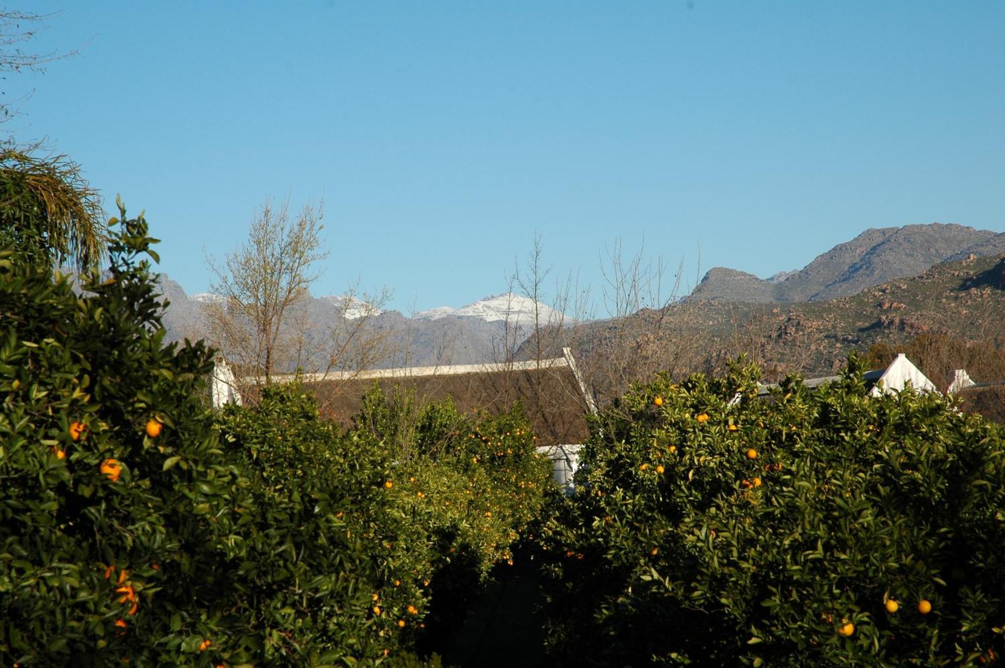 הוילה קלאנוויליאם Klein Boschkloof מראה חיצוני תמונה