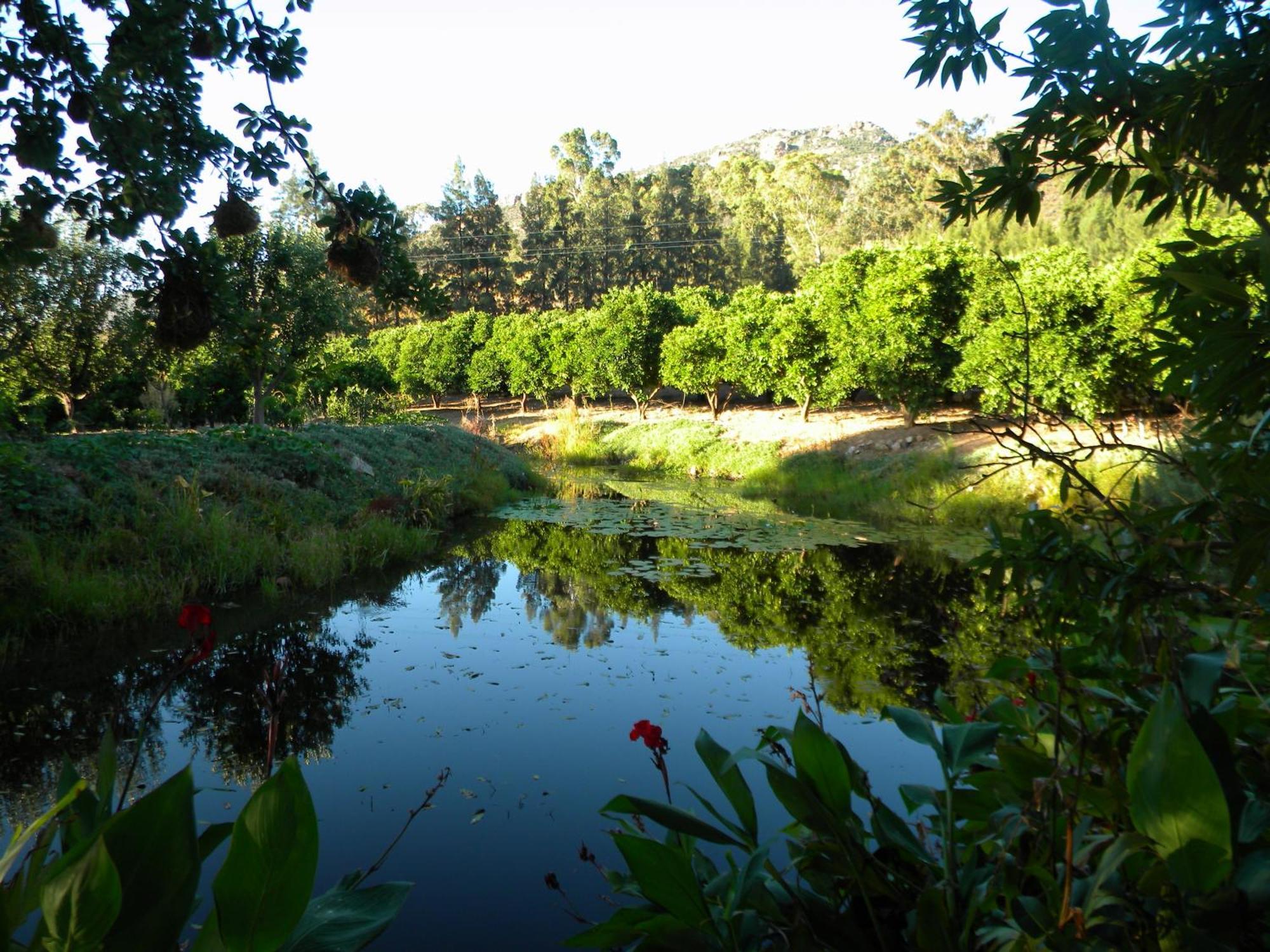 הוילה קלאנוויליאם Klein Boschkloof מראה חיצוני תמונה