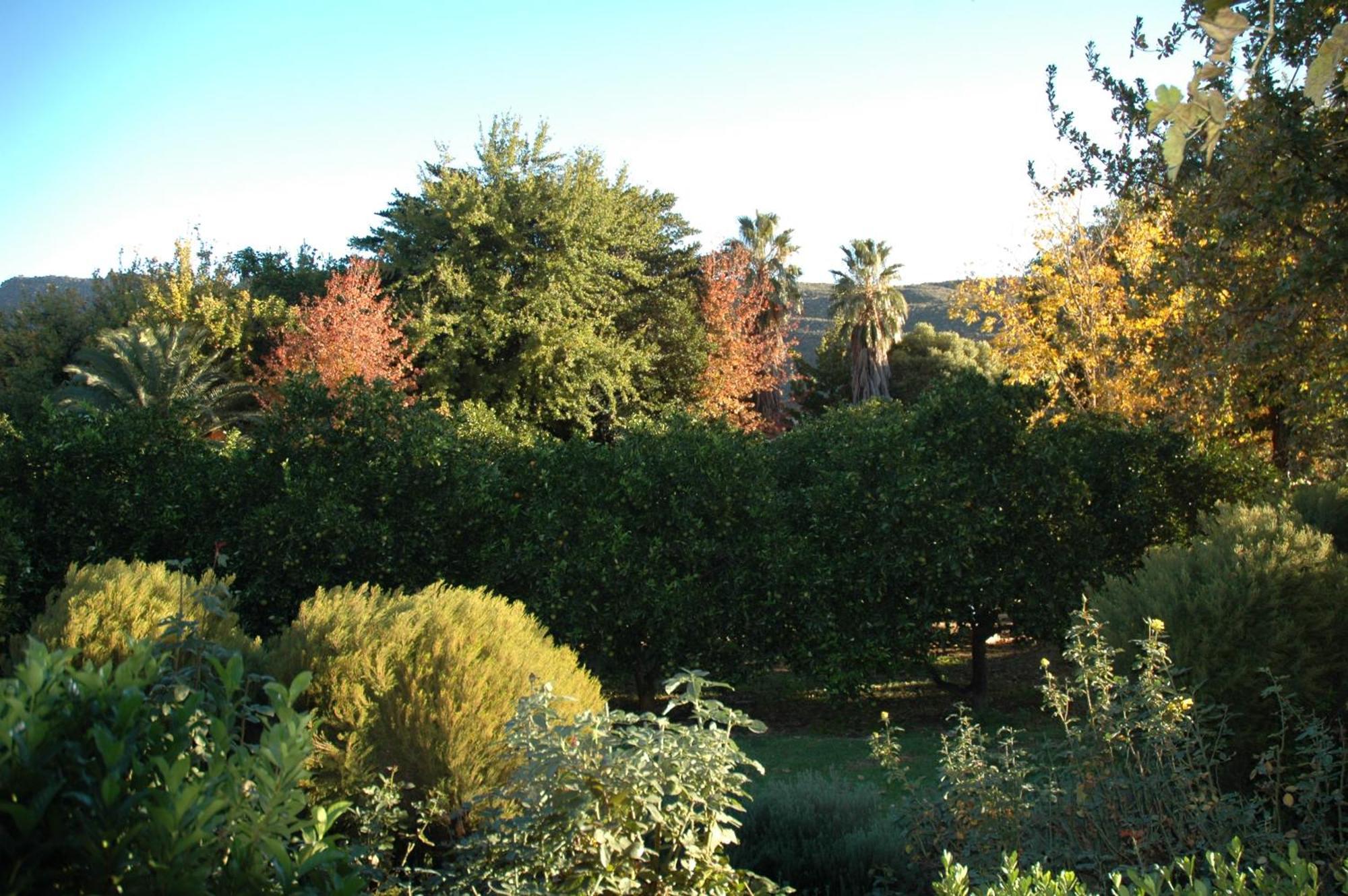 הוילה קלאנוויליאם Klein Boschkloof מראה חיצוני תמונה