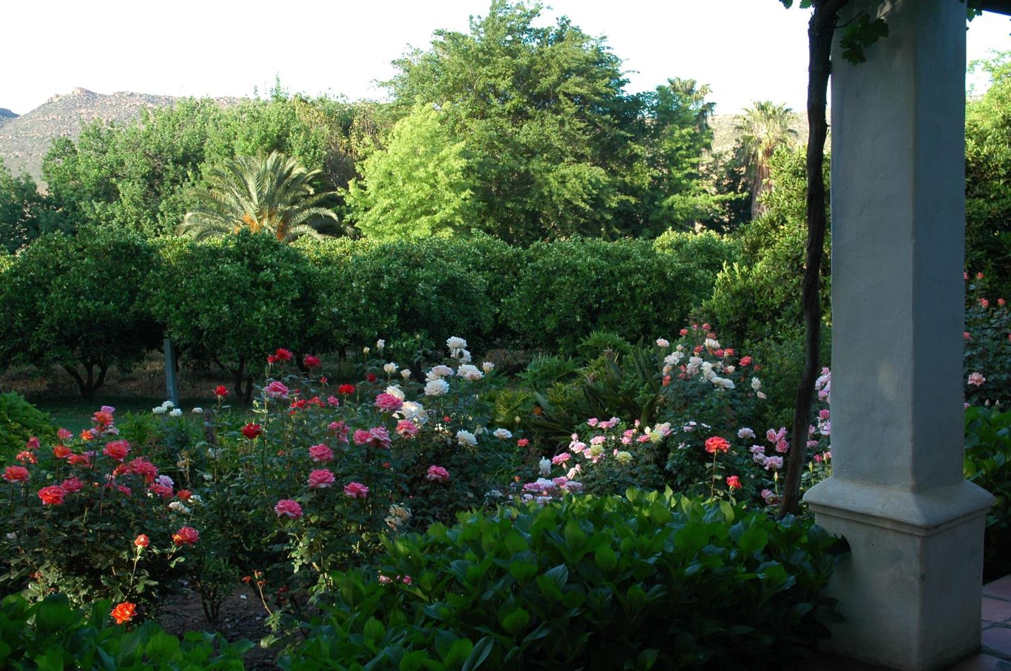 הוילה קלאנוויליאם Klein Boschkloof מראה חיצוני תמונה