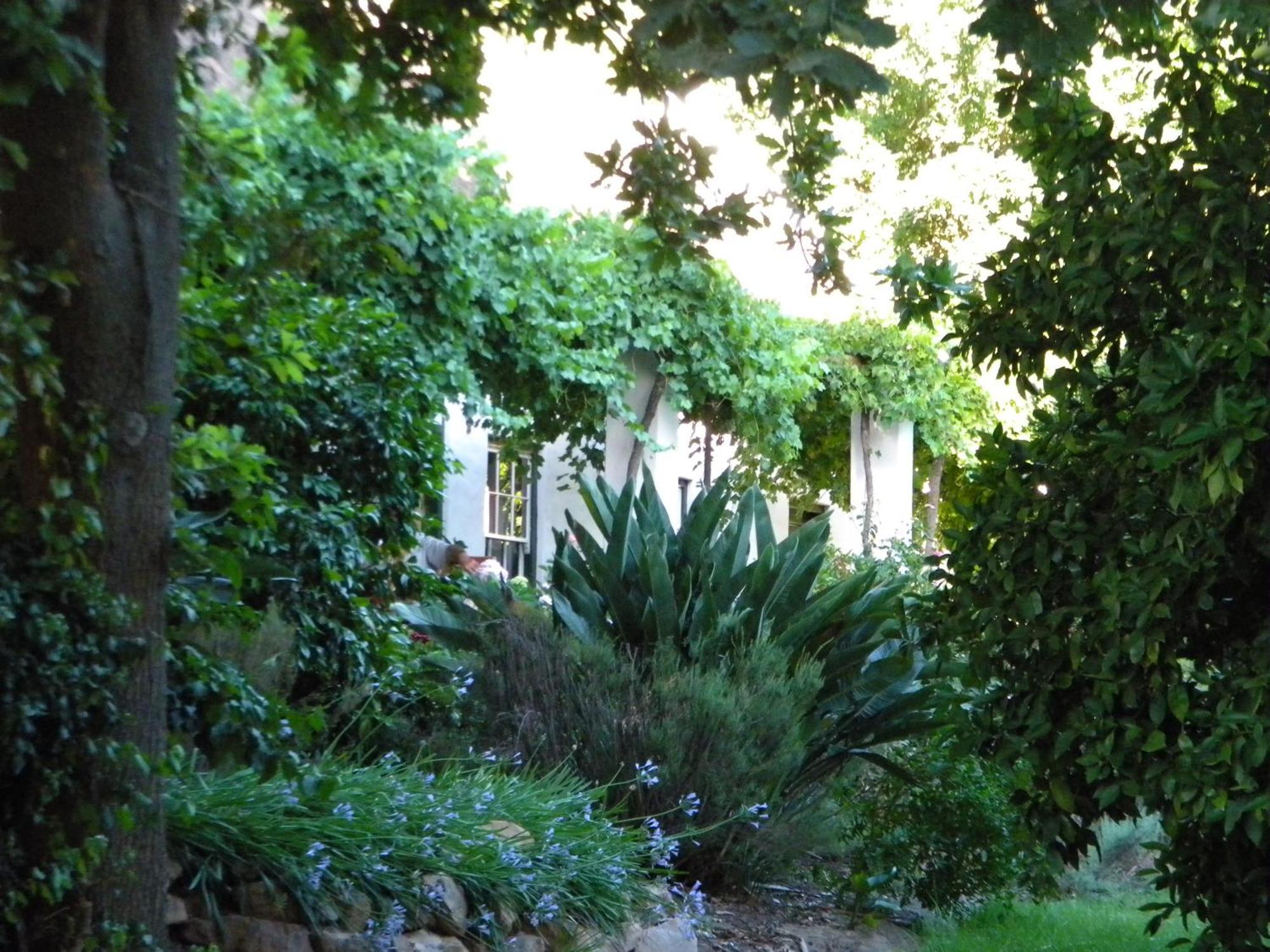 הוילה קלאנוויליאם Klein Boschkloof מראה חיצוני תמונה